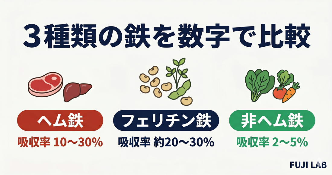 フェリチン鉄・ヘム鉄・非ヘム鉄の違いを配合量と価格で比較｜どれを選ぶべきか