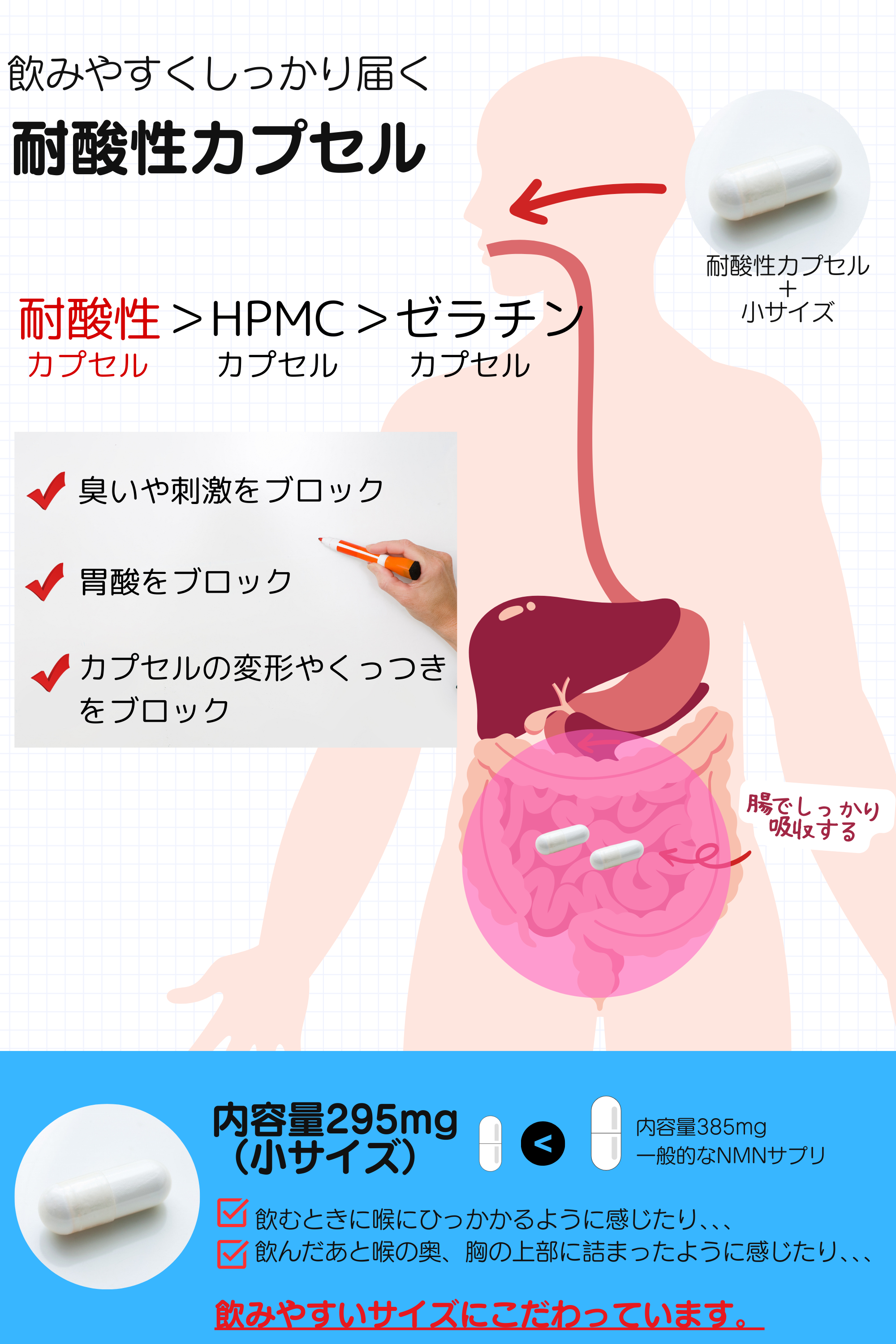 NMN 12000mg（2粒で400mg）日本製 高純度99.9% GMP認定工場 耐酸性カプセル 栄養機能食品