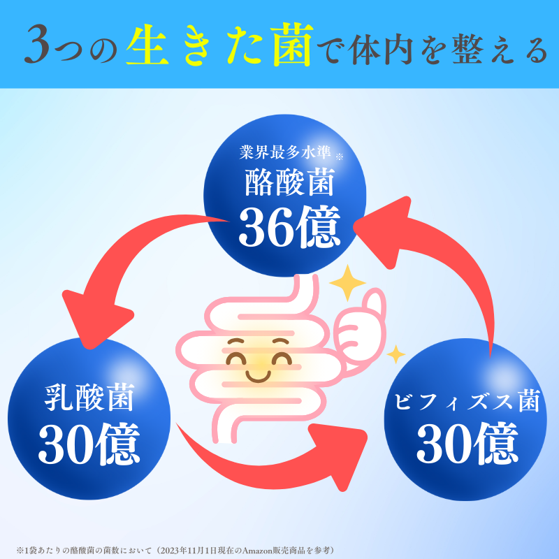 生きた酪酸菌 36億個 2粒で1.2億 サプリメント 耐酸性カプセル 乳酸菌 ビフィズス菌 栄養機能食品 フラクトオリゴ糖 国産 酪酸菌36億