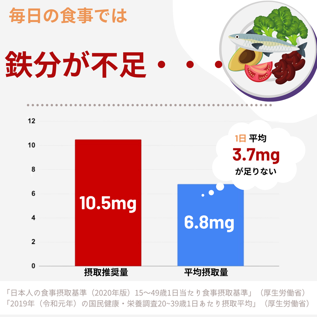 フェリチン鉄 10mg サプリ 乳酸菌400億個 葉酸200μg 栄養機能食品 フェリチン鉄プレミアム