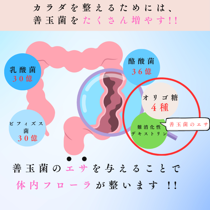 生きた酪酸菌 36億個 2粒で1.2億 サプリメント 耐酸性カプセル 乳酸菌 ビフィズス菌 栄養機能食品 フラクトオリゴ糖 国産 酪酸菌36億