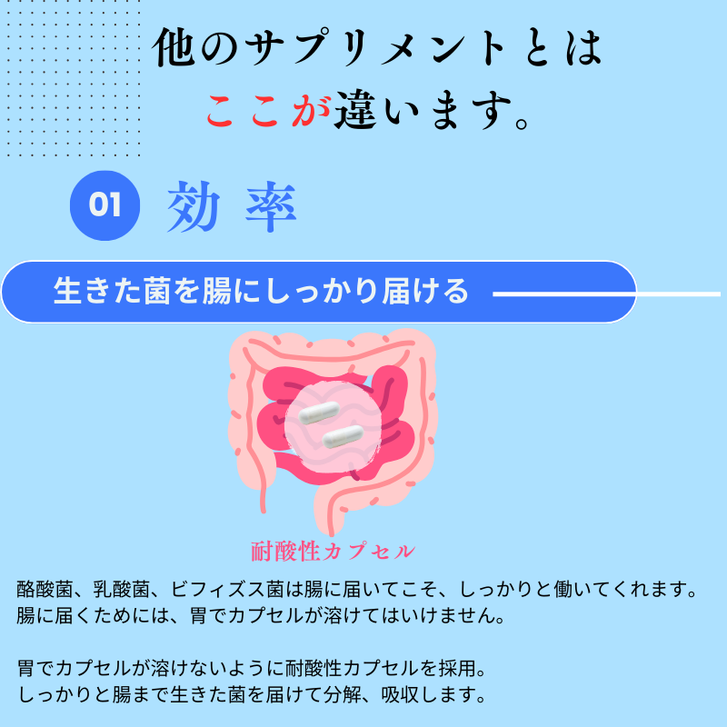 生きた酪酸菌 36億個 2粒で1.2億 サプリメント 耐酸性カプセル 乳酸菌 ビフィズス菌 栄養機能食品 フラクトオリゴ糖 国産 酪酸菌36億