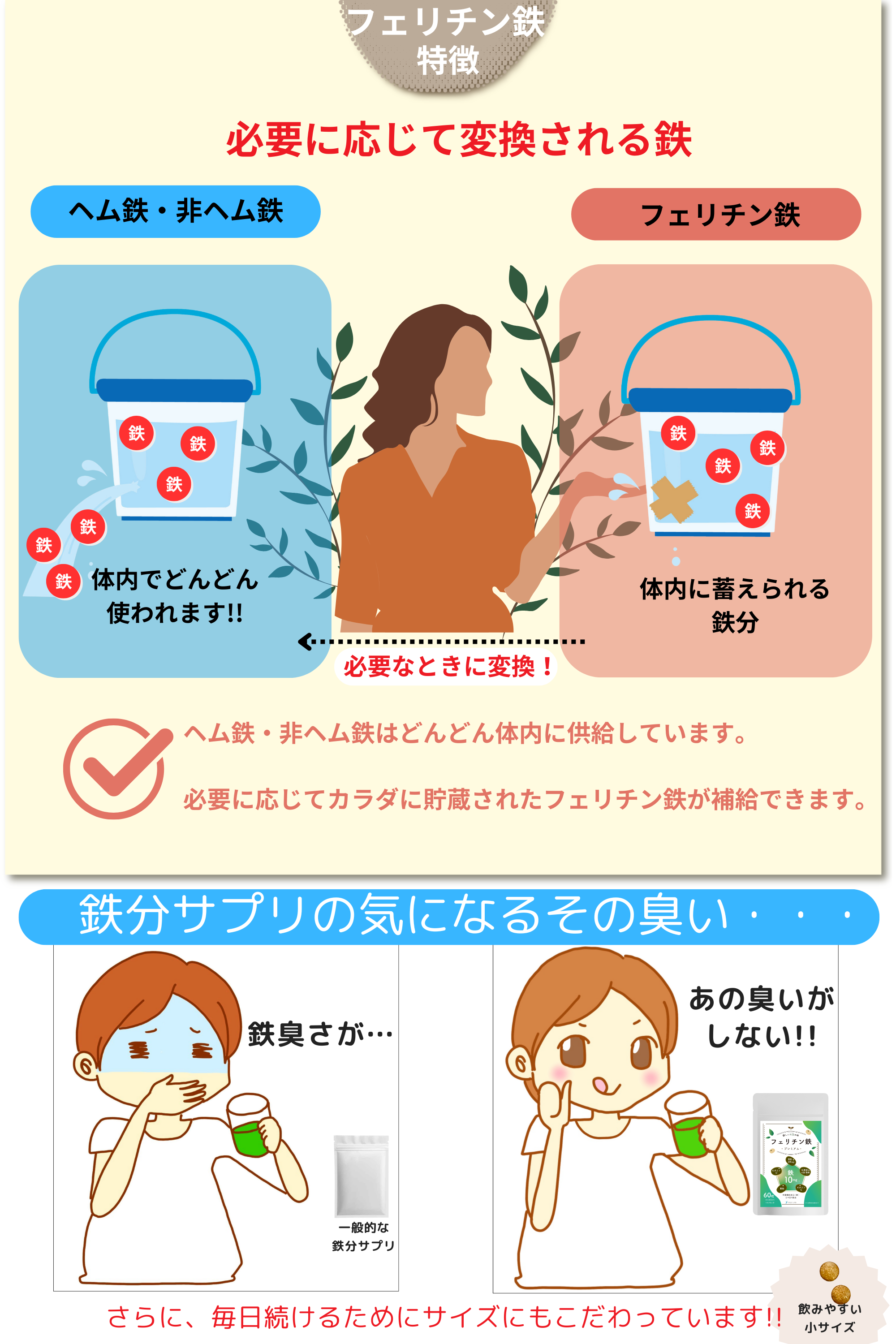 フェリチン鉄 10mg サプリ 乳酸菌400億個 葉酸200μg 栄養機能食品 フェリチン鉄プレミアム